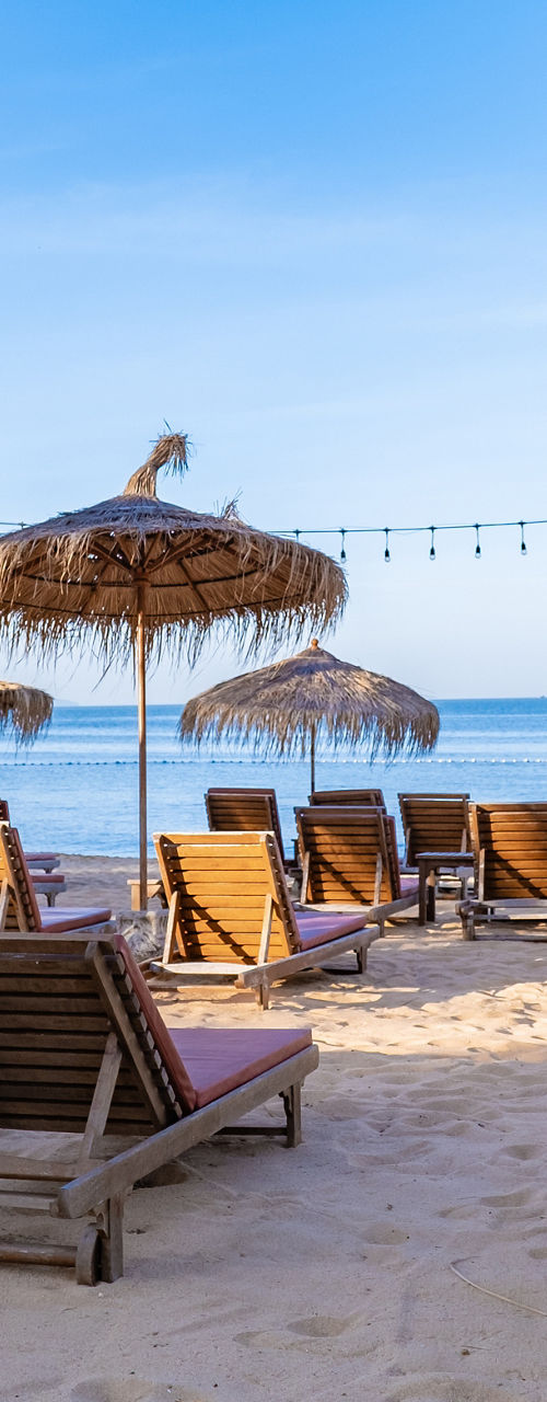 Beachfront lounge chairs under palm trees