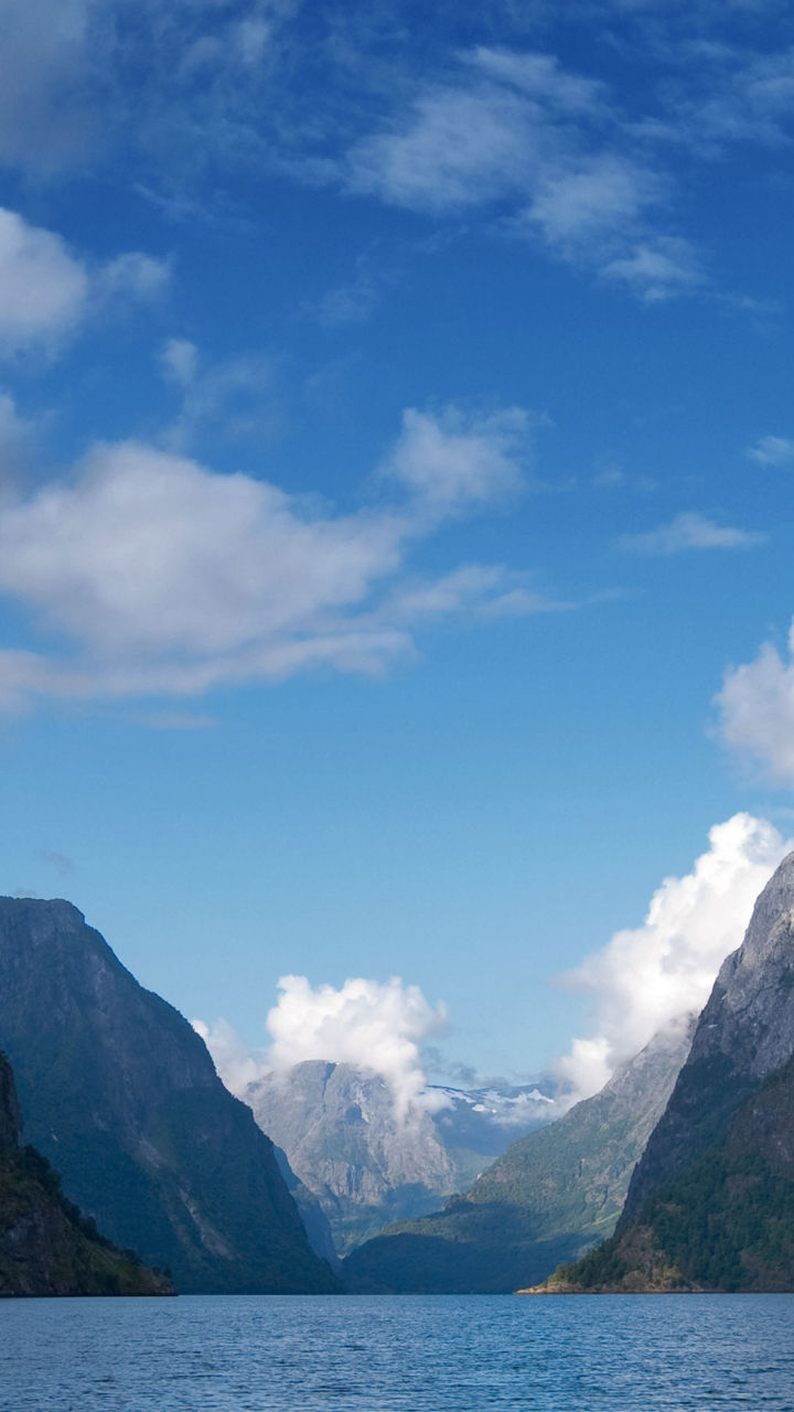 Scenic Fjord Safari by RIB