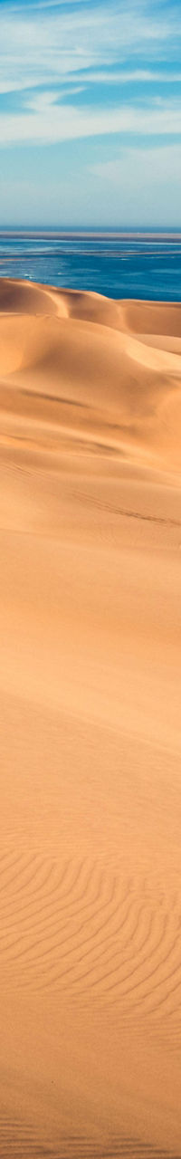 Golden sand dunes by the ocean