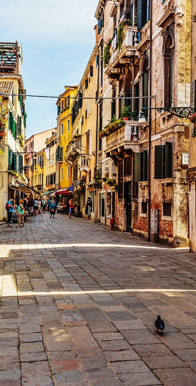 Sunny Venetian street with colorful buildings
