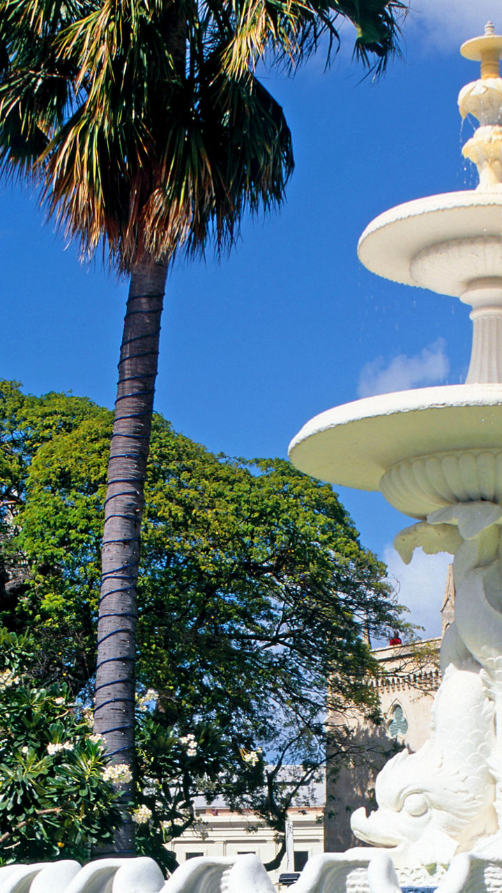 Historic fountain in tropical city square