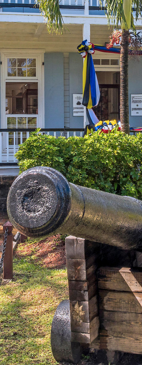 Historic building with cannon in tropical setting
