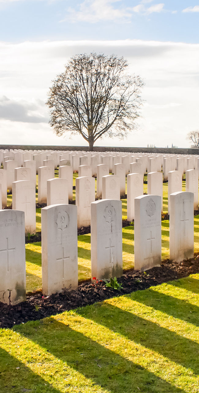 Military cemetery with aligned white headstones