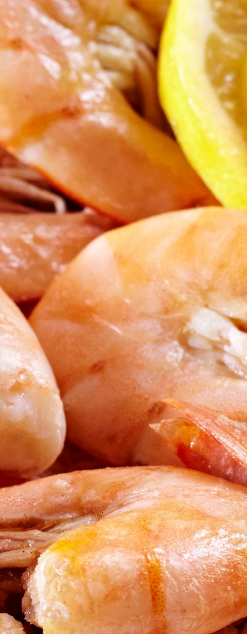 Fresh shrimp served with lemon slices