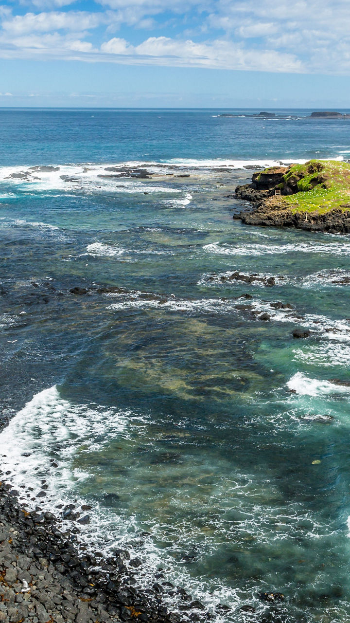 Scenic coastal view with rocky shoreline