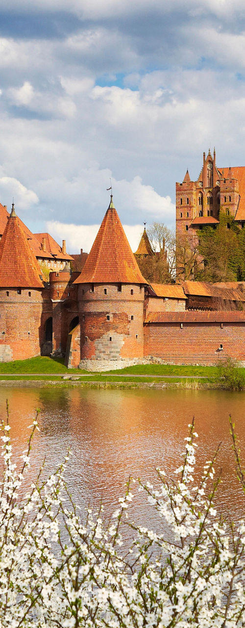 Malbork Castle with spring blossoms