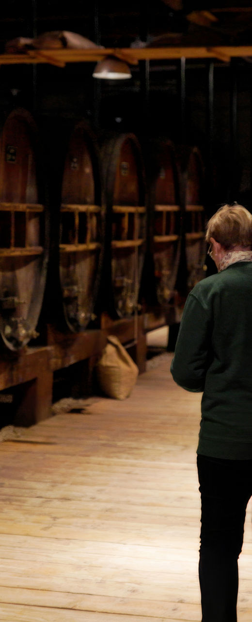 Two women walking in wine cellar