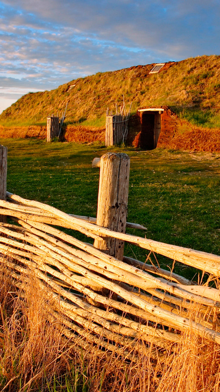 Viking Experience