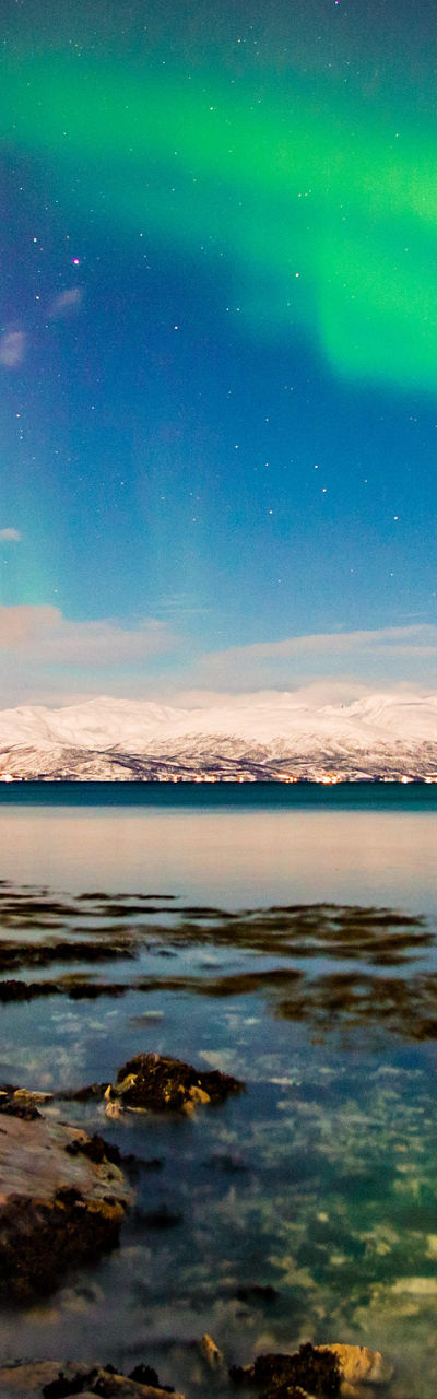 Northern Lights Over Snowy Landscape