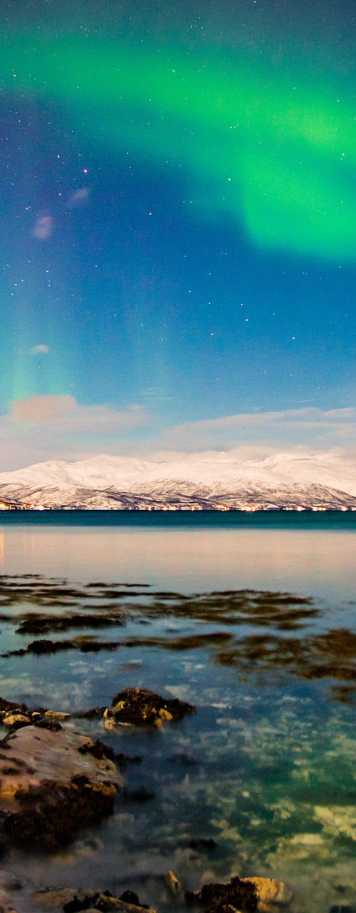 Northern Lights Over Snowy Landscape