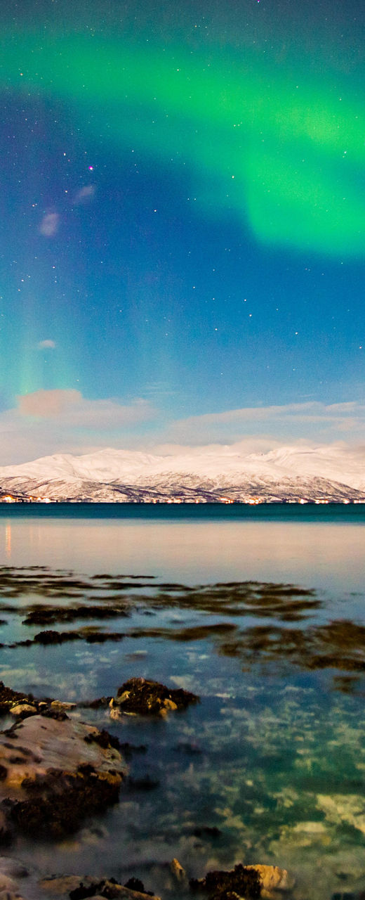 Northern Lights Over Snowy Landscape