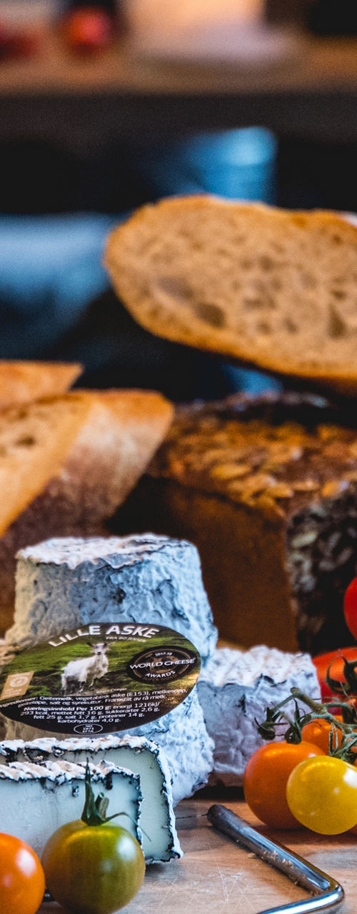 Cheese platter with bread and wine