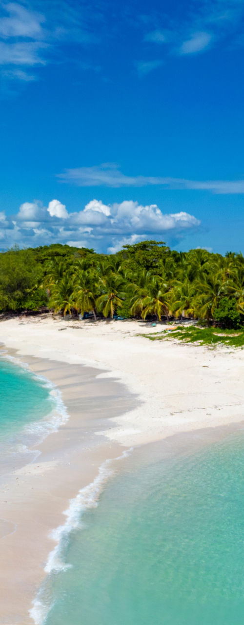 Tropical island with turquoise waters and white sand