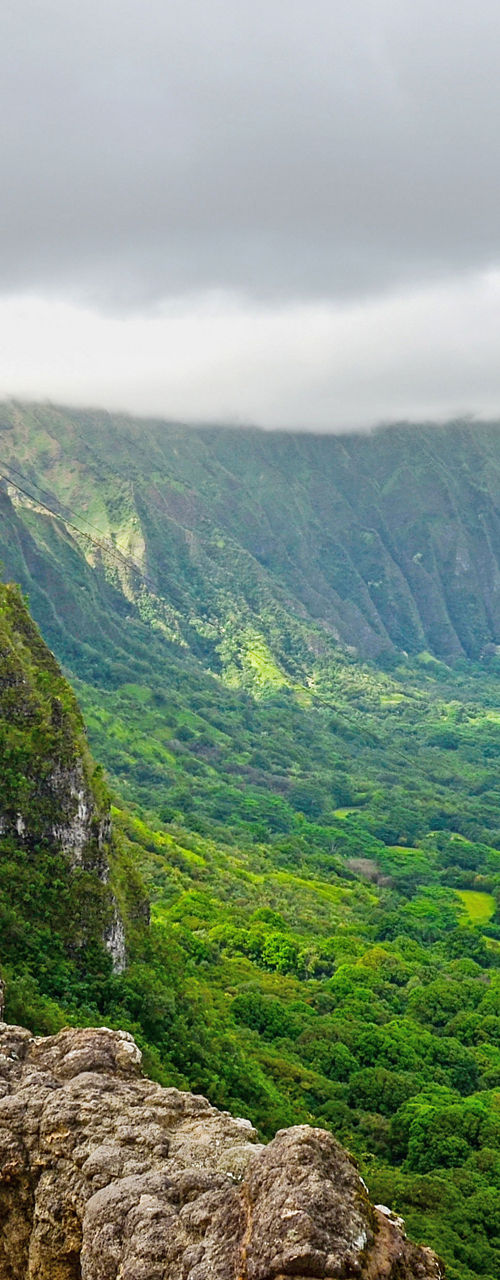 Scenic mountain view with lush greenery