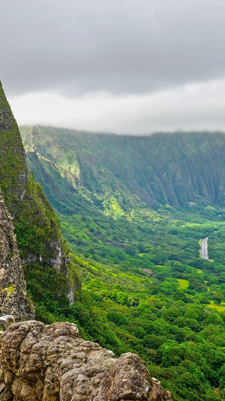 Scenic mountain view with lush greenery