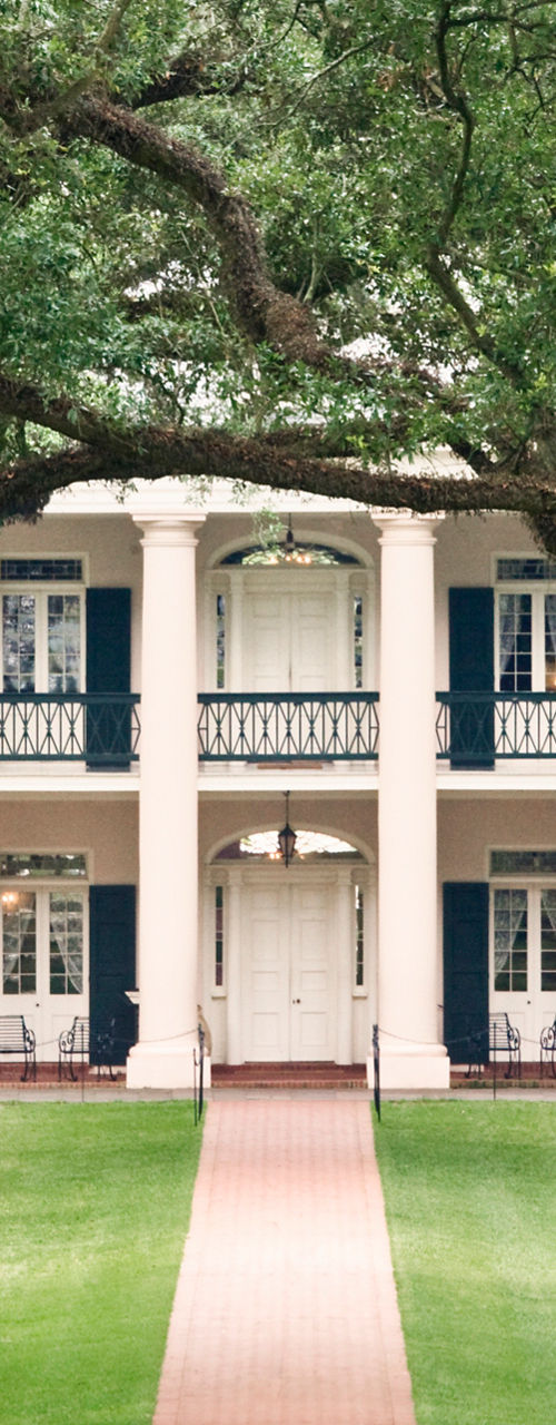 Historic mansion framed by oak trees