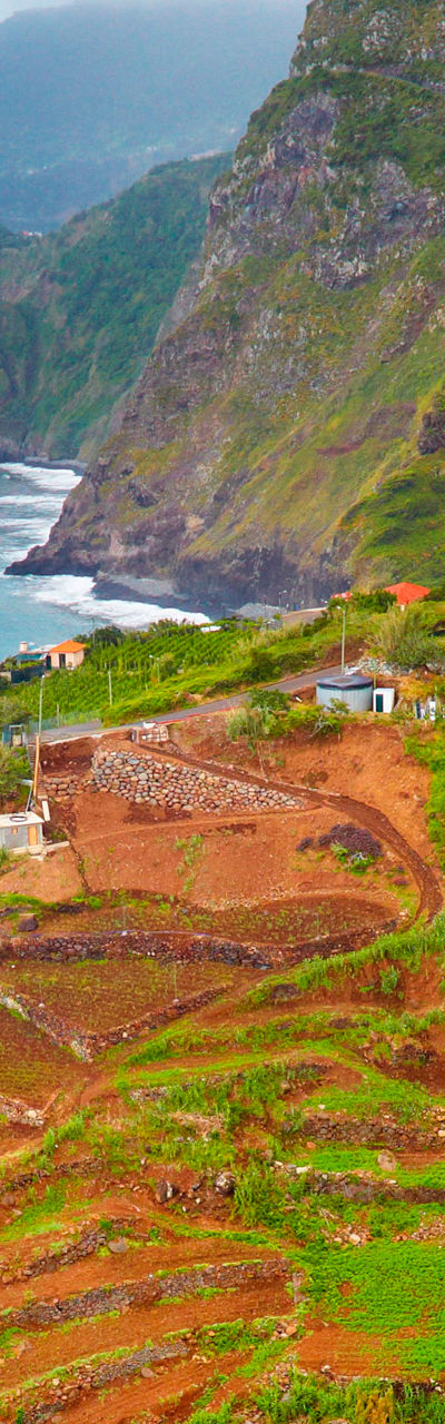 Scenic coastal cliffs with vibrant flowers