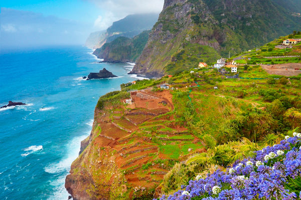 Scenic coastal cliffs with vibrant flowers