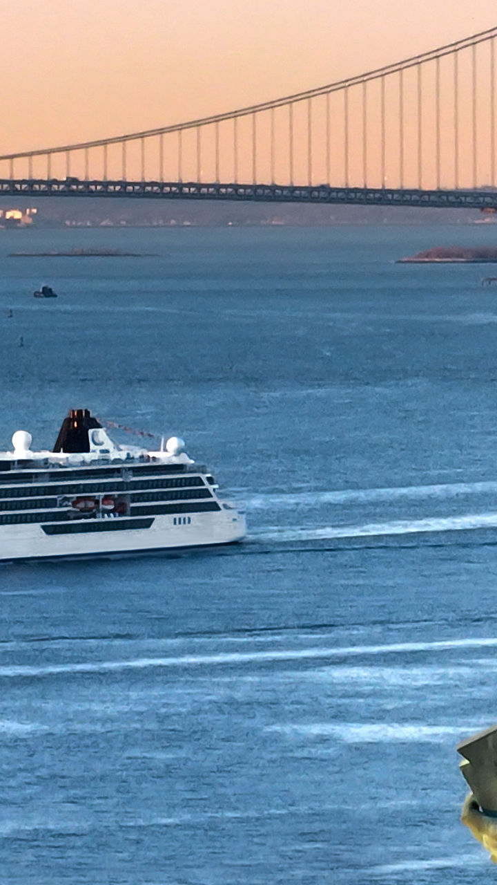 Statue of Liberty with cruise ship view