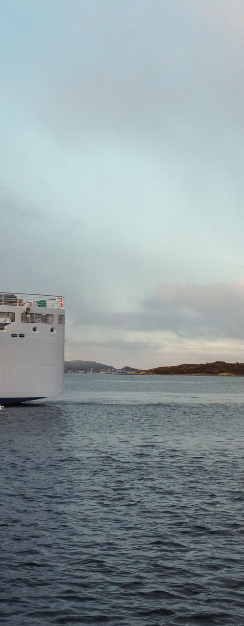 Luxury cruise ship with tender boat