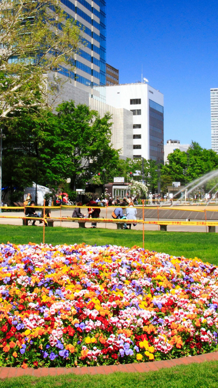 Highlights of Hokkaidō