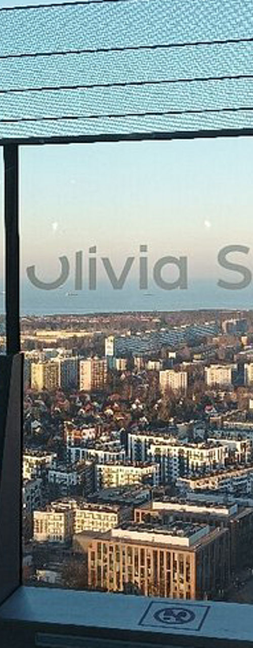 Cityscape view from Olivia Star building