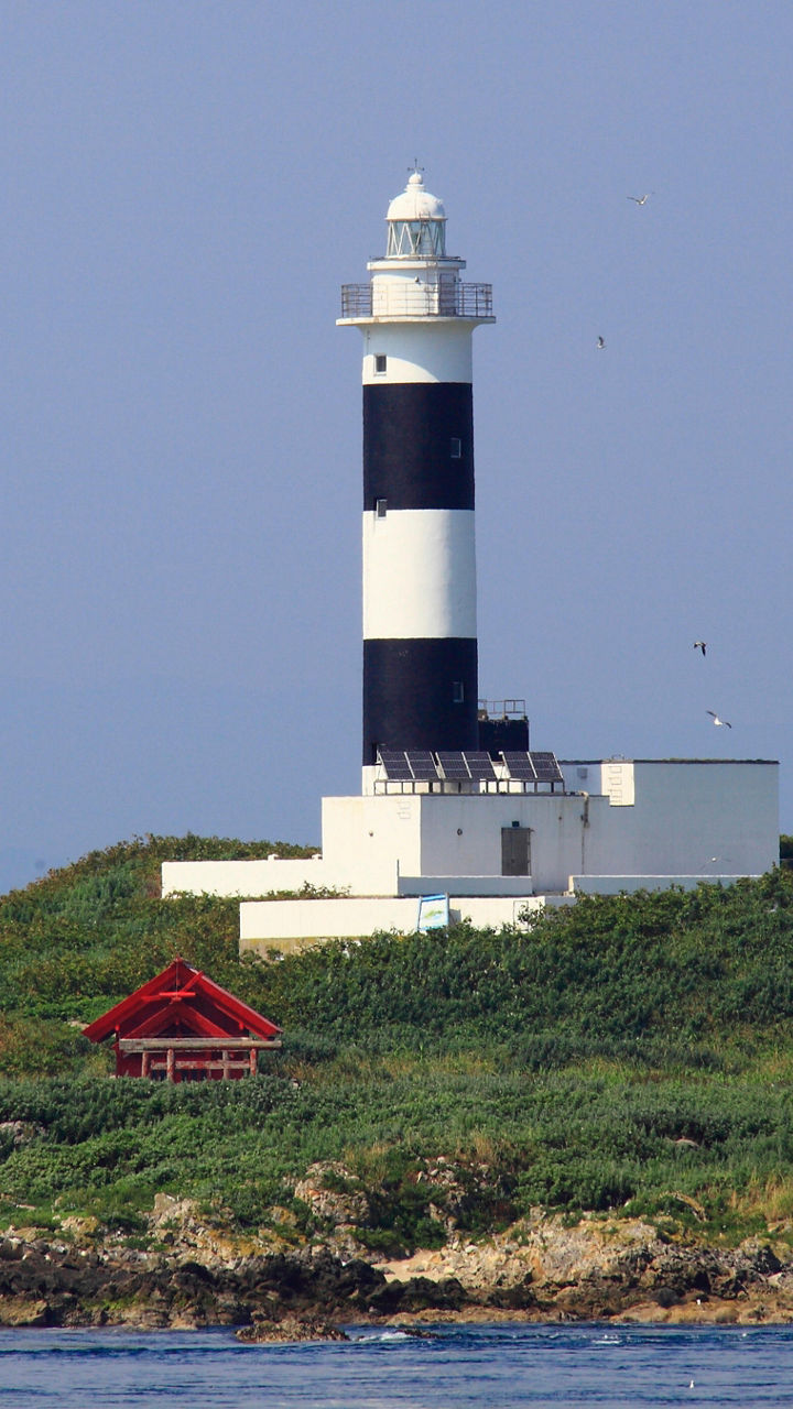 Black and white lighthouse on grassy island