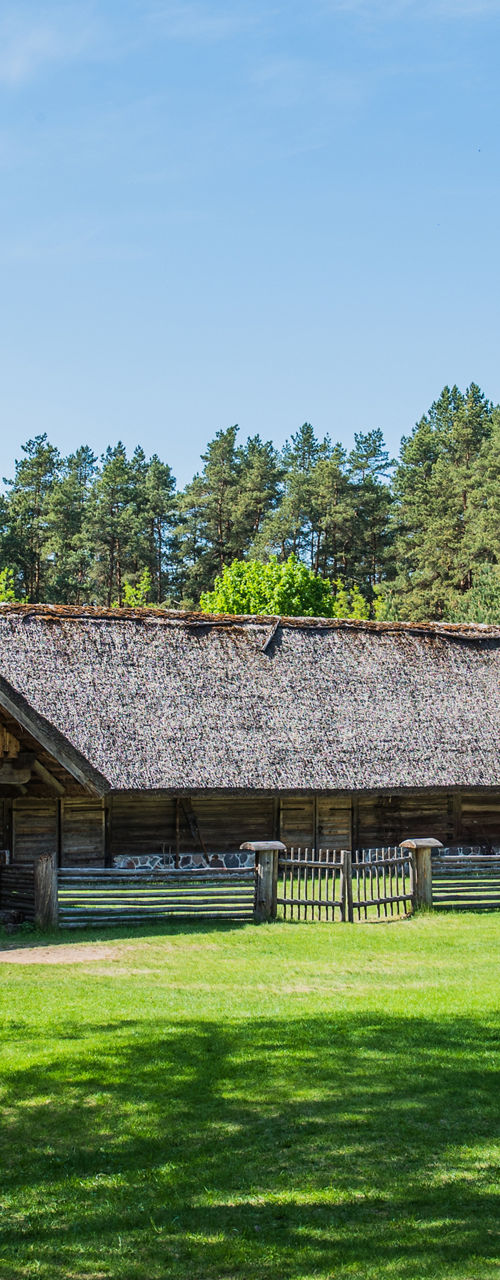 Traditional Wooden Farmhouse in Sunny Rural Landscape