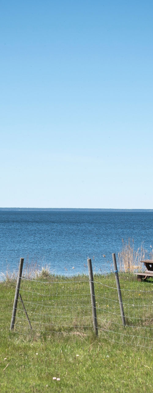 Rustic cabin by the sea with swing