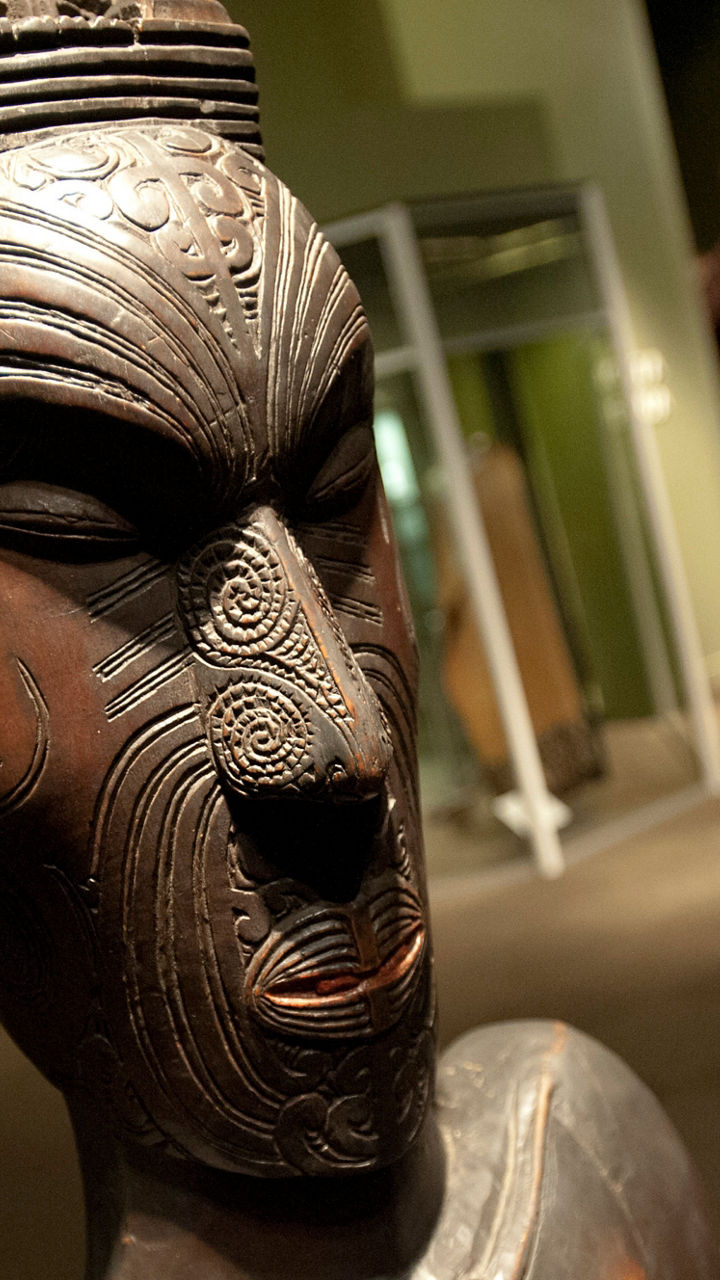 Dunedin on Foot & Otago Museum