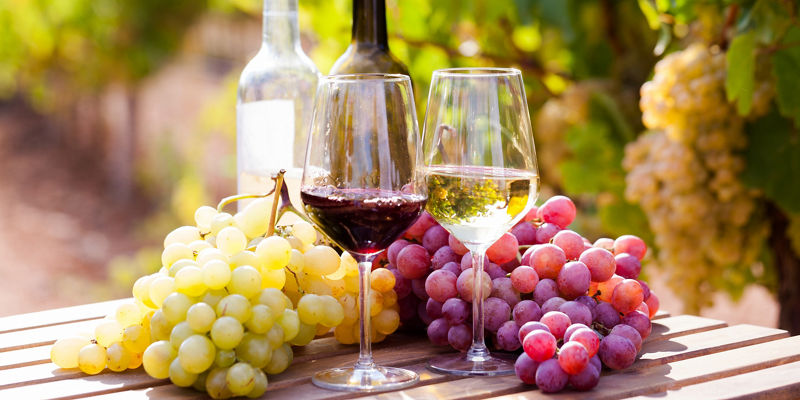 Red and white wine with fresh grapes