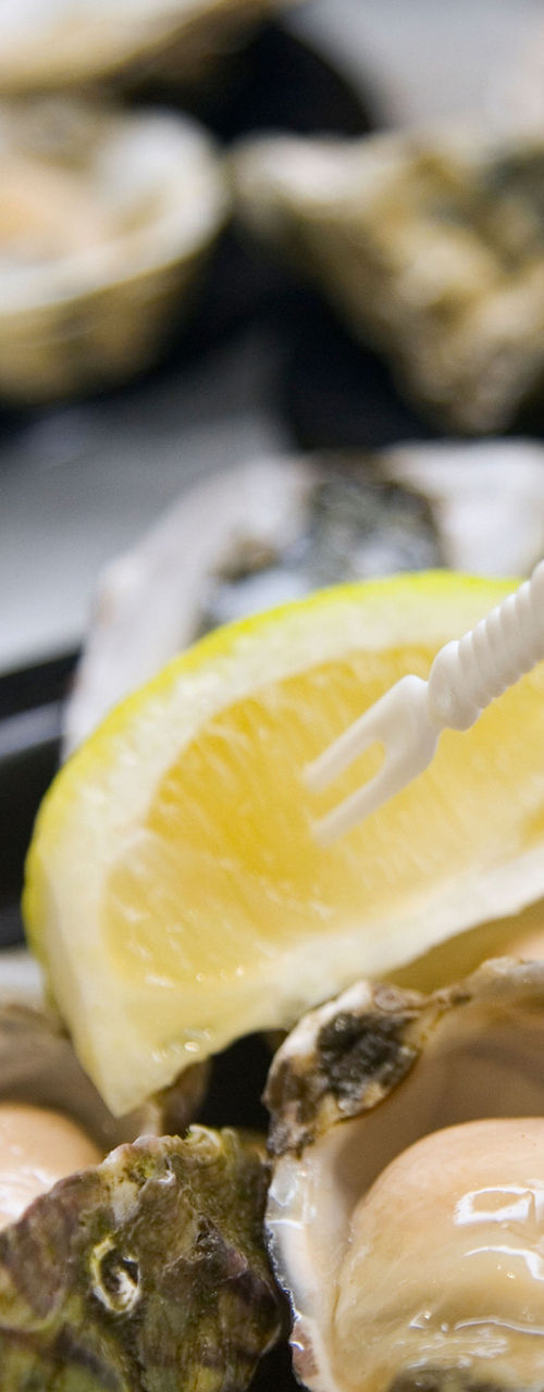 Fresh oysters served with lemon wedges