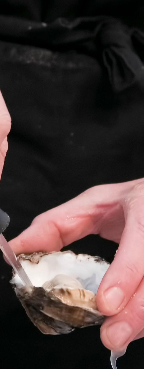 Hands shucking oyster with precision tool