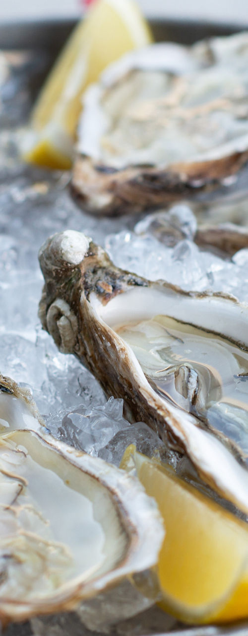 Fresh oysters on ice with lemon wedges served outdoors