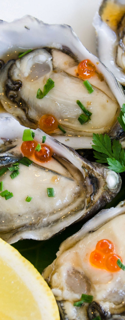 Fresh oysters with herbs and lemon slice