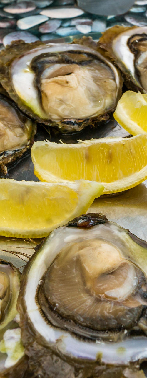 Fresh oysters served with lemon wedges