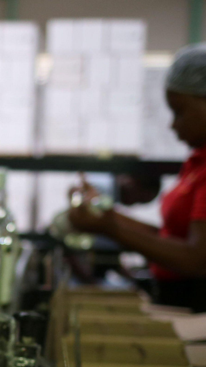 Bajan Rum & History