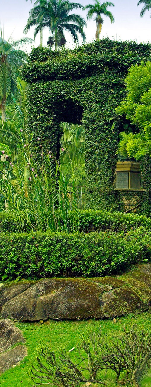 Lush tropical garden with mountain view