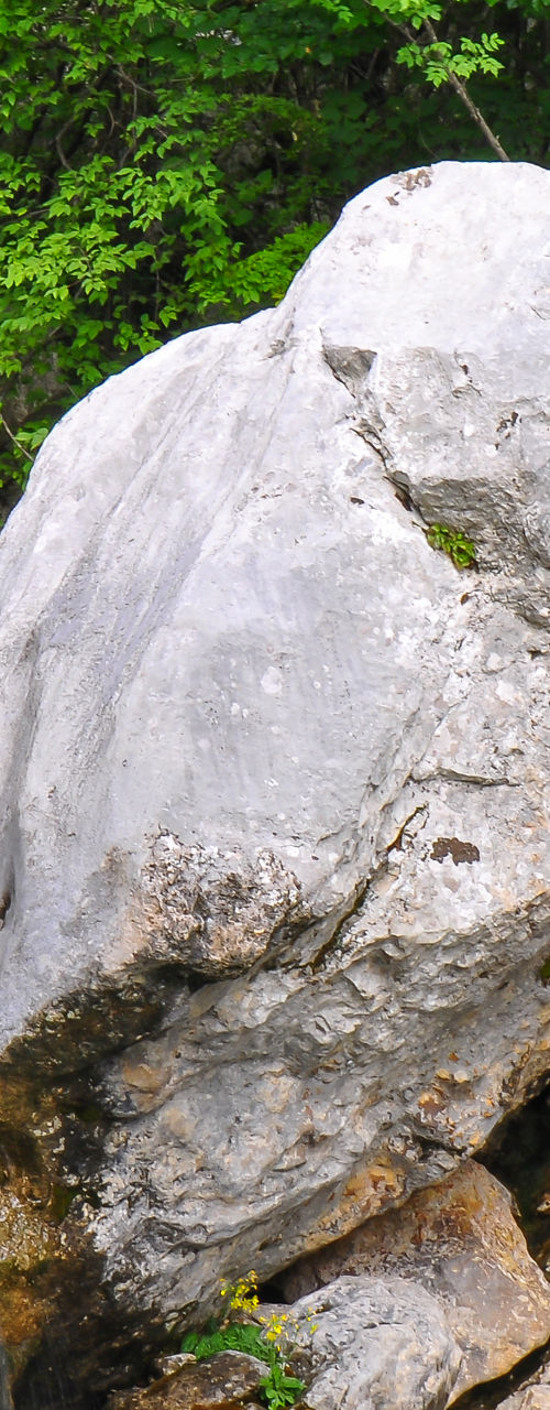Small waterfall surrounded by rocky terrain