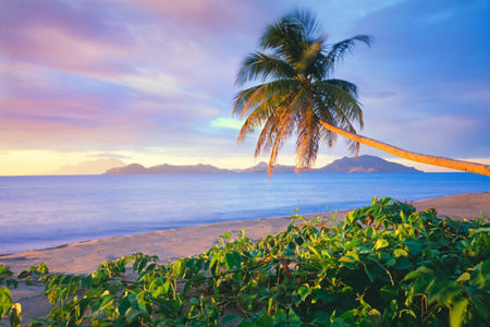 Tropical beach with palm tree at sunset