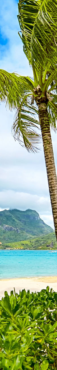 Tropical beach with overwater bungalows