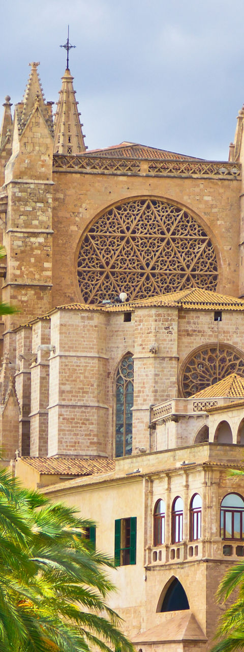 Historic cathedral framed by lush palm trees