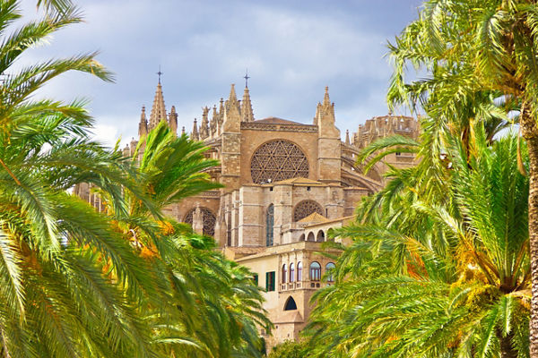 Historic cathedral framed by lush palm trees