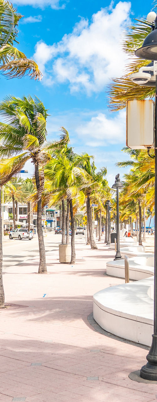 Sunny beachfront promenade with palm trees