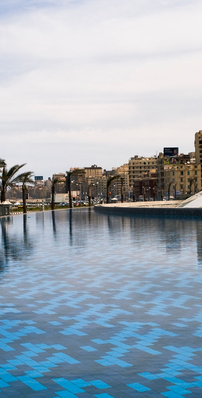 Modern waterfront with palm trees and architecture