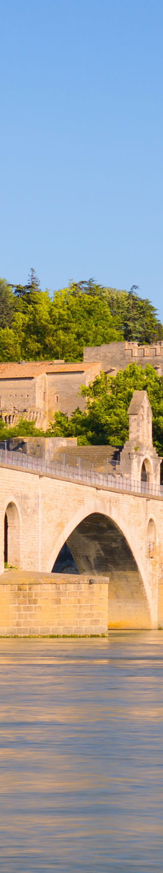 Historic Bridge and Palace in Avignon