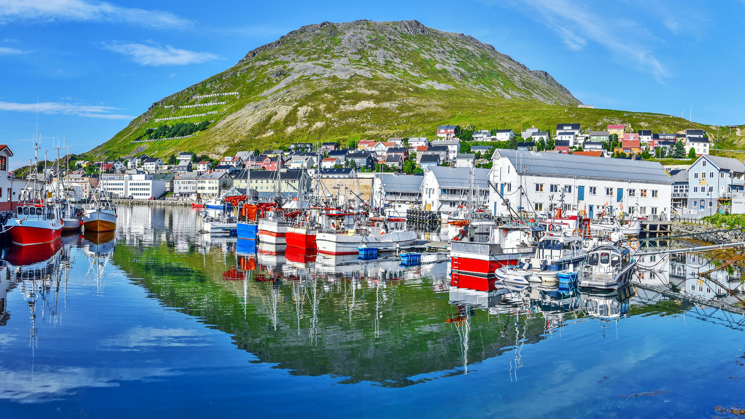 Into the Midnight Sun