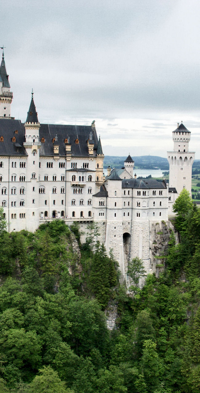 Neuschwanstein Castle in lush green landscape