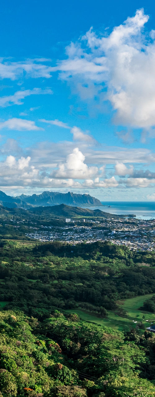 Scenic tropical landscape with lush greenery
