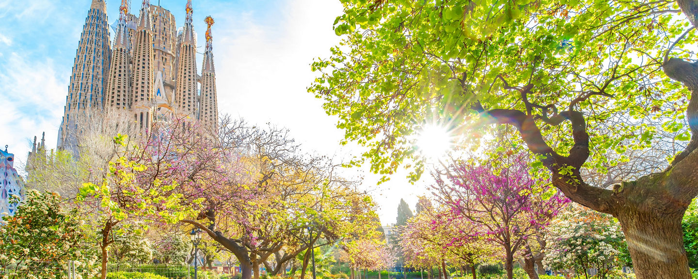 Sunlit park near Sagrada Família basilica